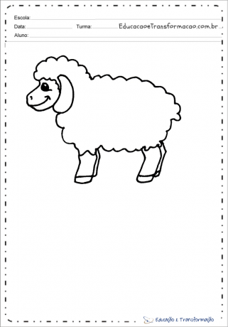 Рисунки на овце