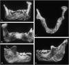 Would this be the oldest fragment of a human? Studies point!
