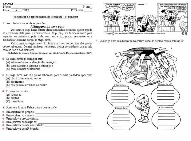 Ocenjevanje portugalskega jezika za 5. letnik