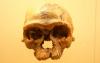 A kutatók fontos felfedezést tesznek a korai hominidákról; megért