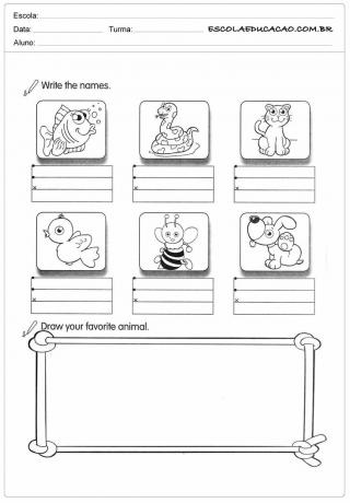 English coloring activity of animals