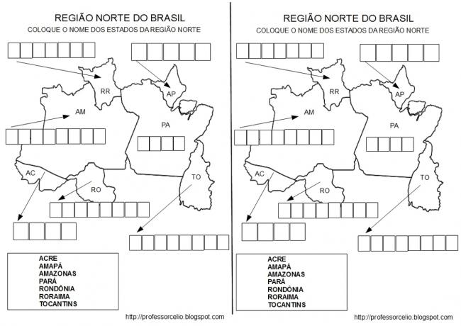 أنشطة في منطقة شمال البرازيل