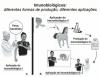 Exercises on antigen, antibody and vaccination