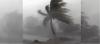Korkunç etki: Florianópolis'teki yoğun rüzgar, bir kadının çığlığına benzer bir ses çıkarıyor