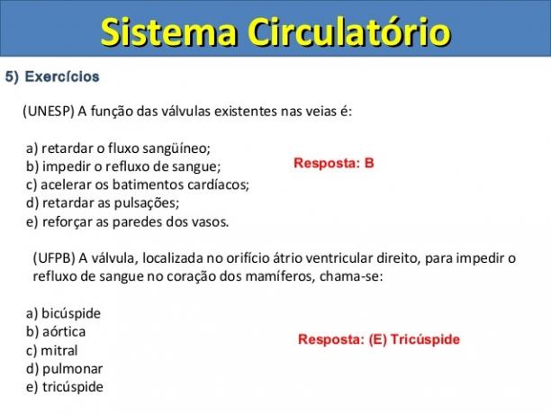 Cirkuliacinės sistemos veikla