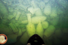 이탈리아에서 발견된 2,000년 된 로마 선박의 내용물에 잠수부들 경악