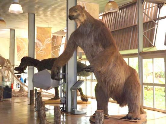 Brazilian megafauna: Giant sloth