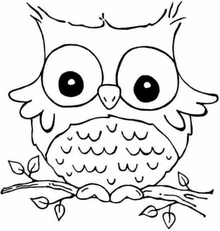 OWLS ფერადი ნახატები