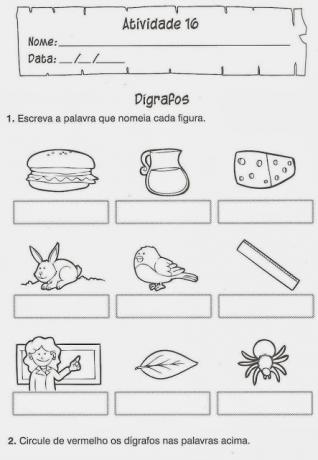 Portugese digraphs