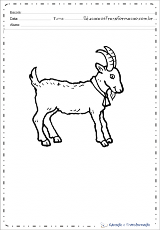 حيوانات المزرعة - صفحة تلوين الماعز
