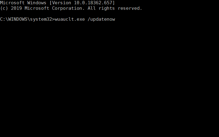 wuauclt.exe 명령 0x803fb005 microsoft store