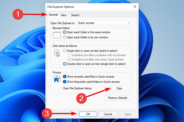 windows 11 esplora crash fix pulire la cronologia di esplora file