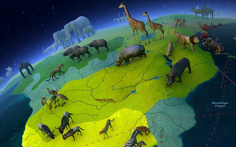 Animal world