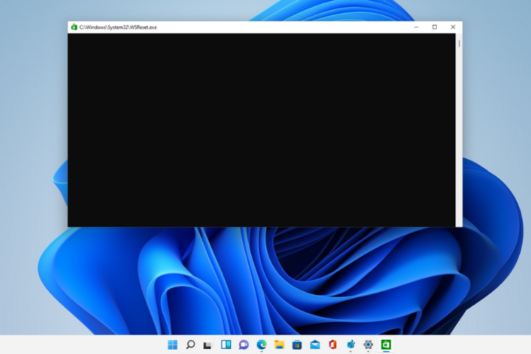 ws reset Befehl