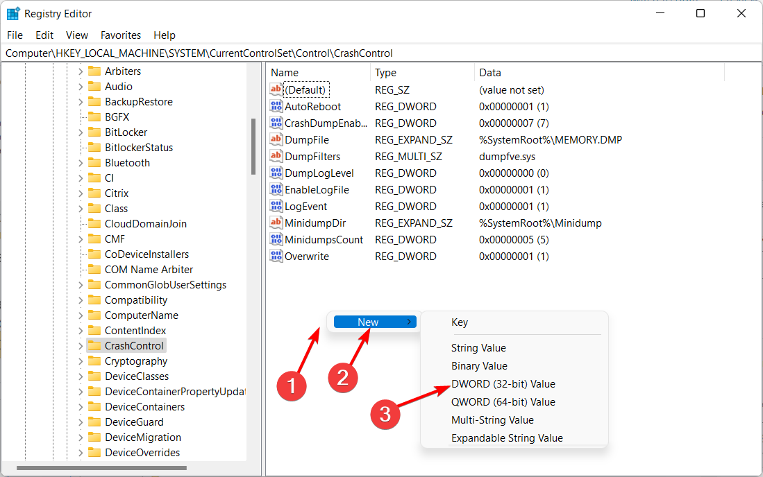 new-dword-crash bsod log file location