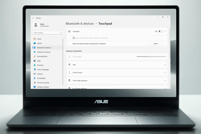 come disabilitare il touchpad asus