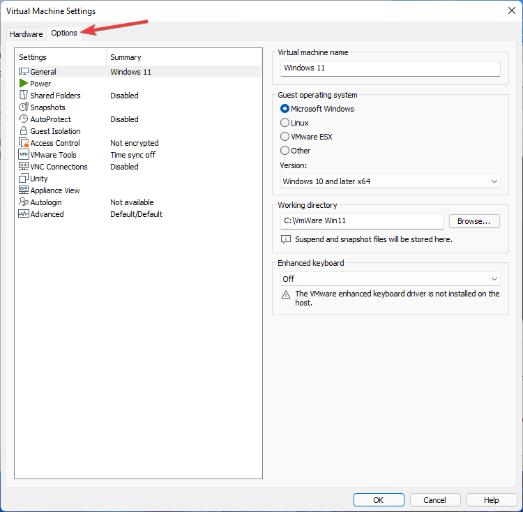 Options tab in VMware