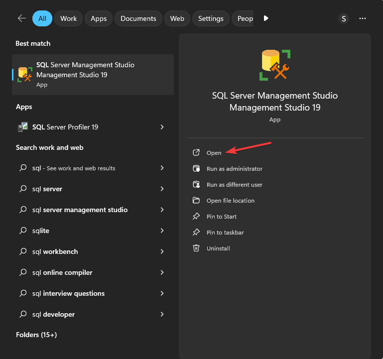 sql server management studio - Ouvrir les fichiers SQL .BAK dans Excel