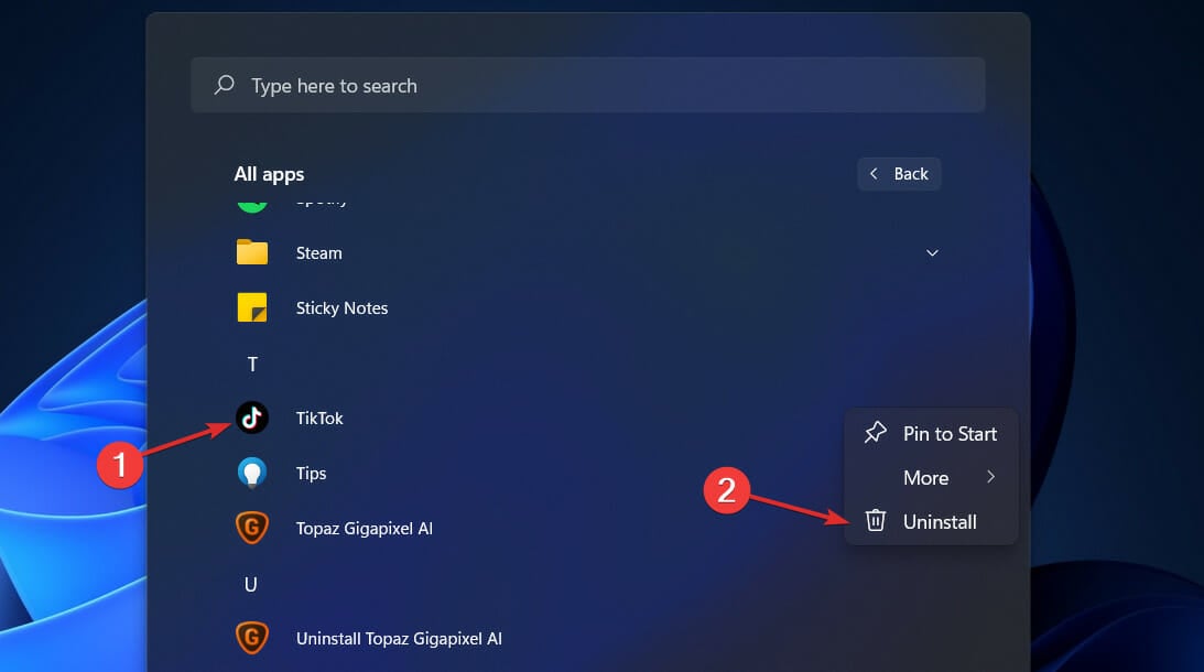 tiktok-remove windows 11 remove tiktok