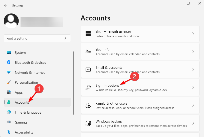 windows 11 sign in options