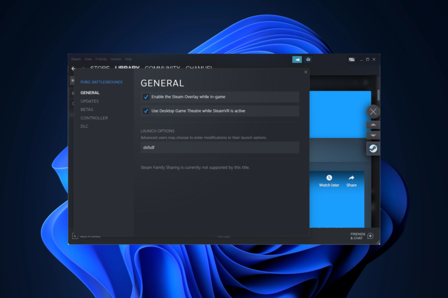 steam-w11 steam game launches then closes