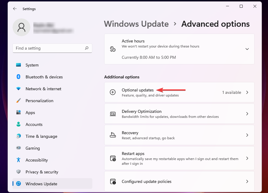 Optionale Updates