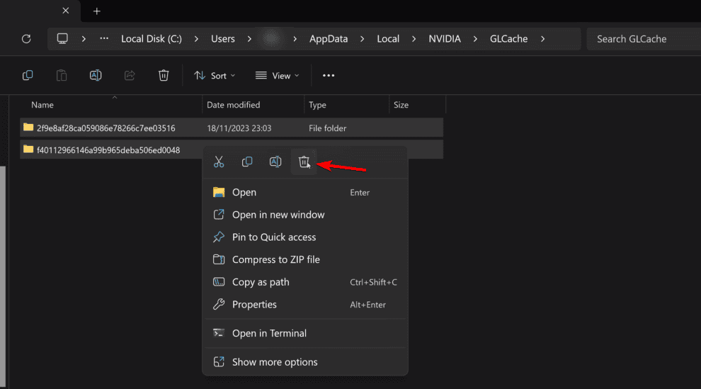 delete cache nvidia