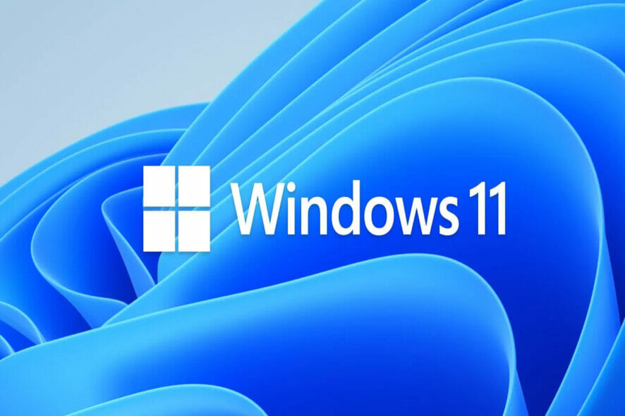 installare Windows 11 da USB