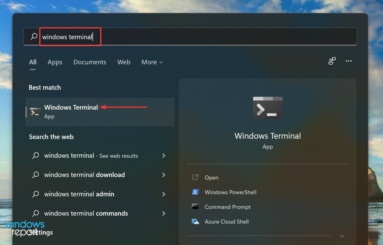 Abrir Terminal do Windows para corrigir lifeacm studio windows 11