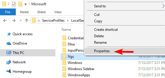 C:WindowsServiceProfilesLocalServiceAppDataLocalMicrosoftNgc