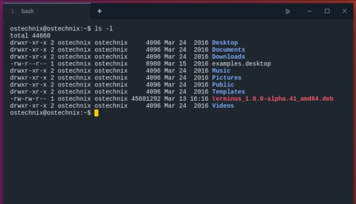 terminus meilleur terminal windows 11