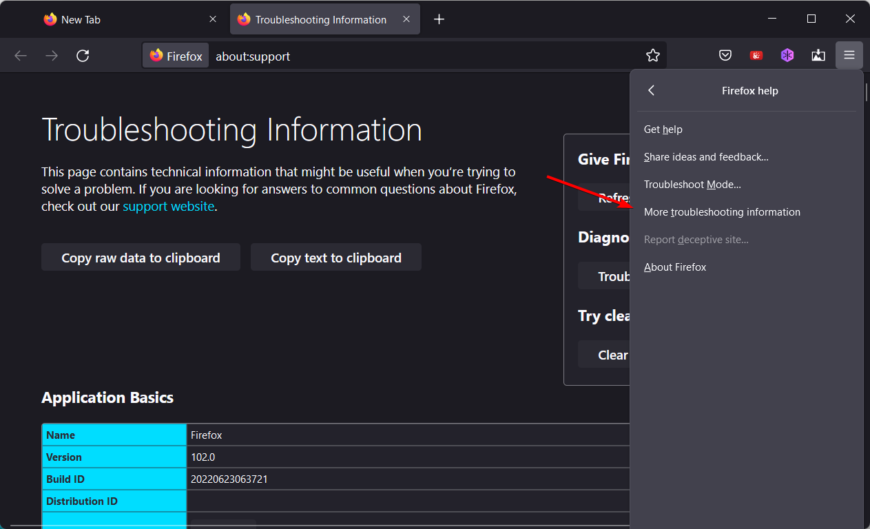 more-troubleshooting-firefox firefox freezing windows 11