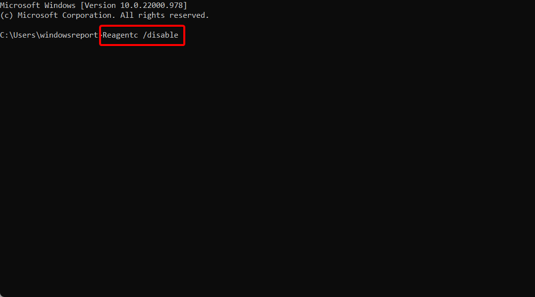 reagent-disable can't reset windows 10