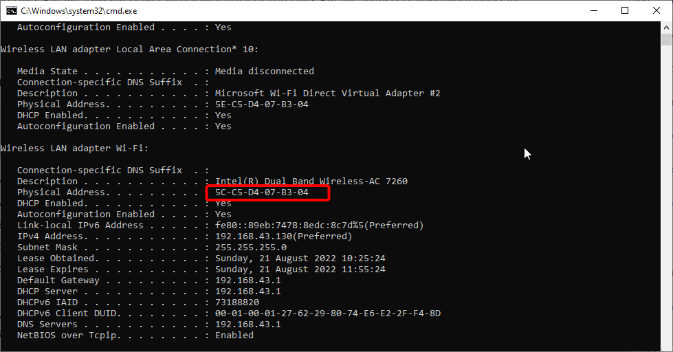 dirección física problemas dns windows 10