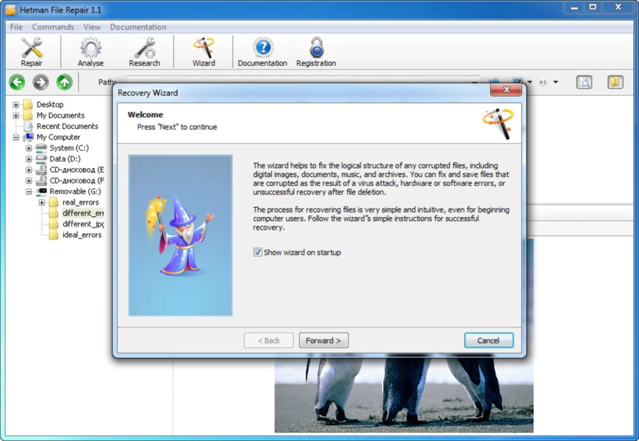 hetman file repair software