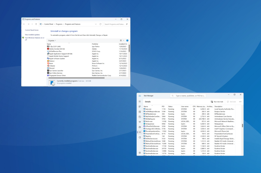 alles über sbpfsvc exe