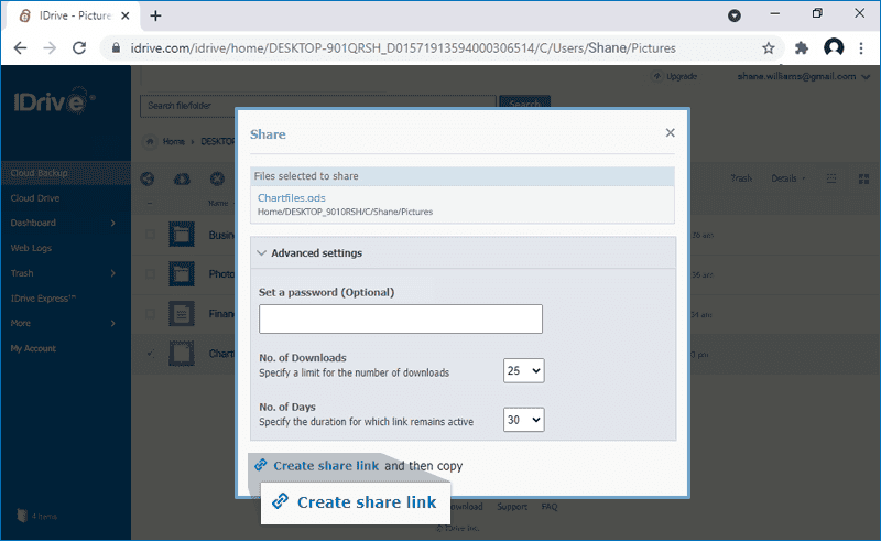 idrive file sharing
