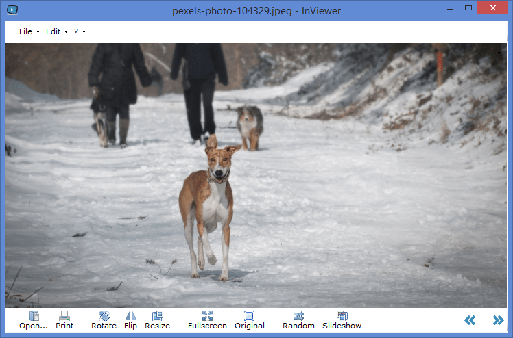gif viewer windows 10
