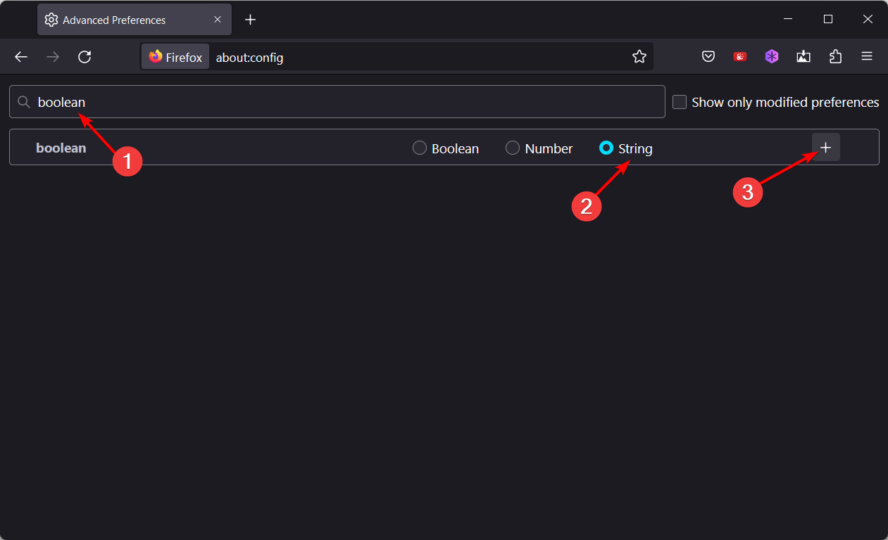 boolean meilleur navigateur web pour hikvision