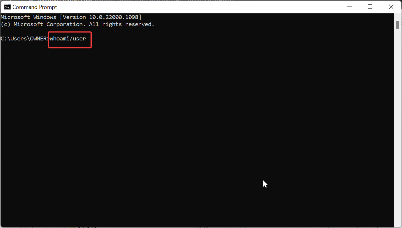 whoami user windows 11 temporary file
