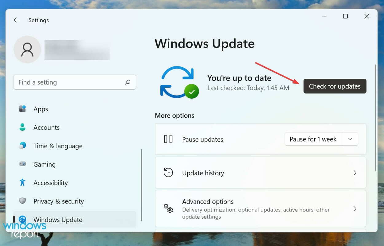 Verificar atualizações para corrigir lifeacm studio windows 11