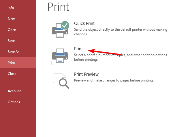 print microsoft access