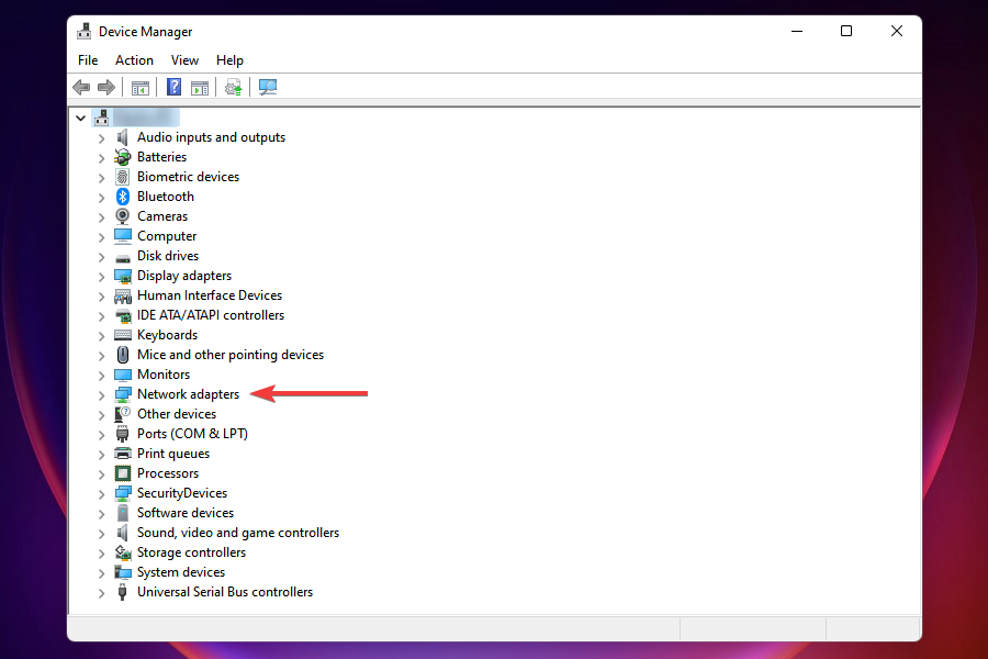 expand Network adapters