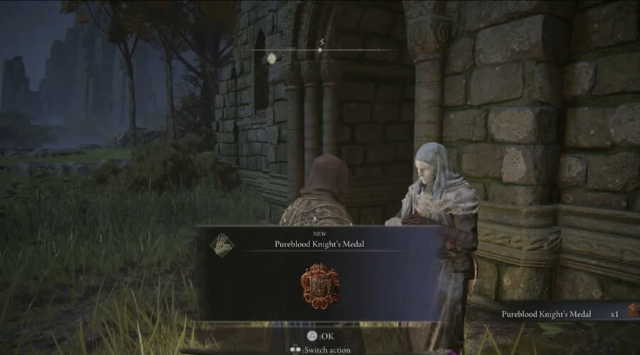 pureblood knight medal