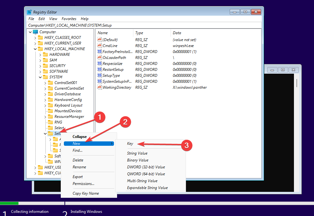 BypassTPMCheck key