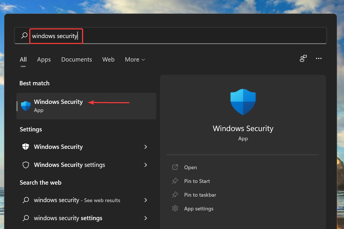 Windows 보안 실행