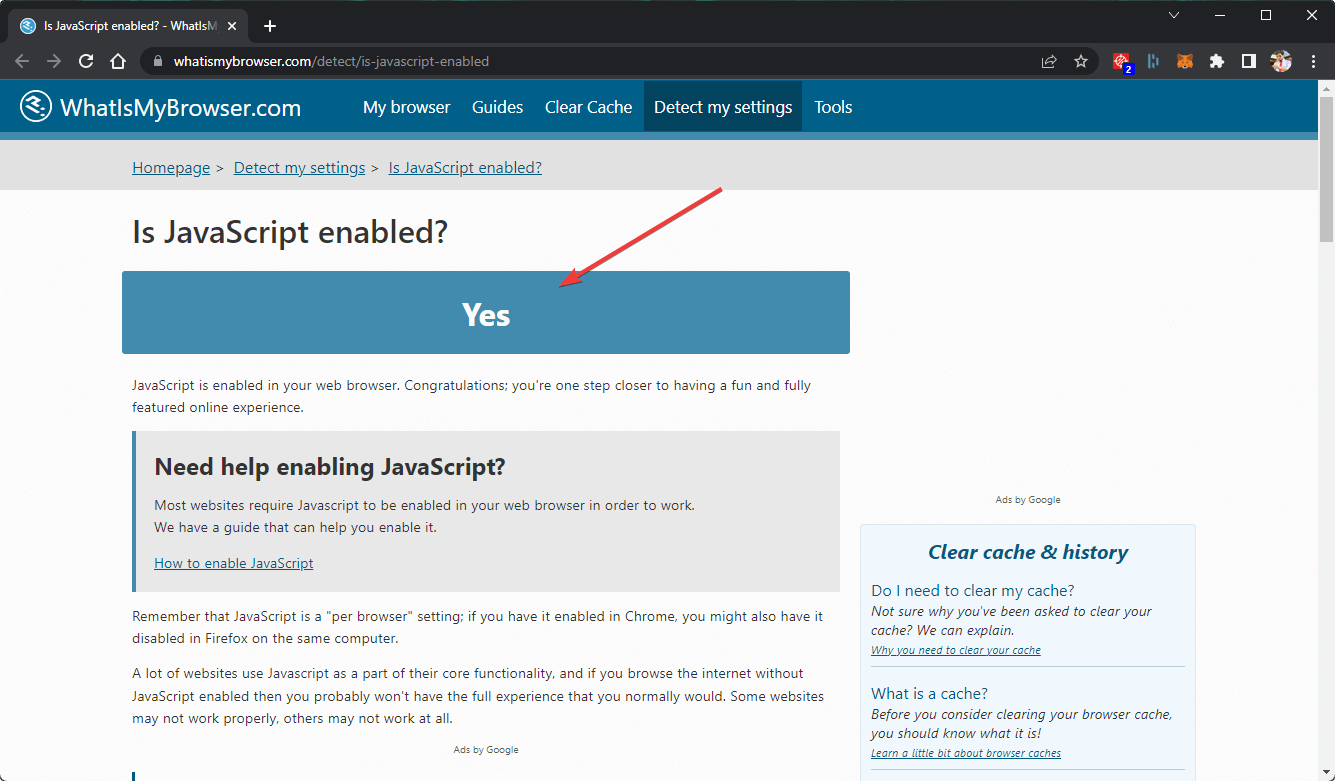 savoir javascript activé désactivé