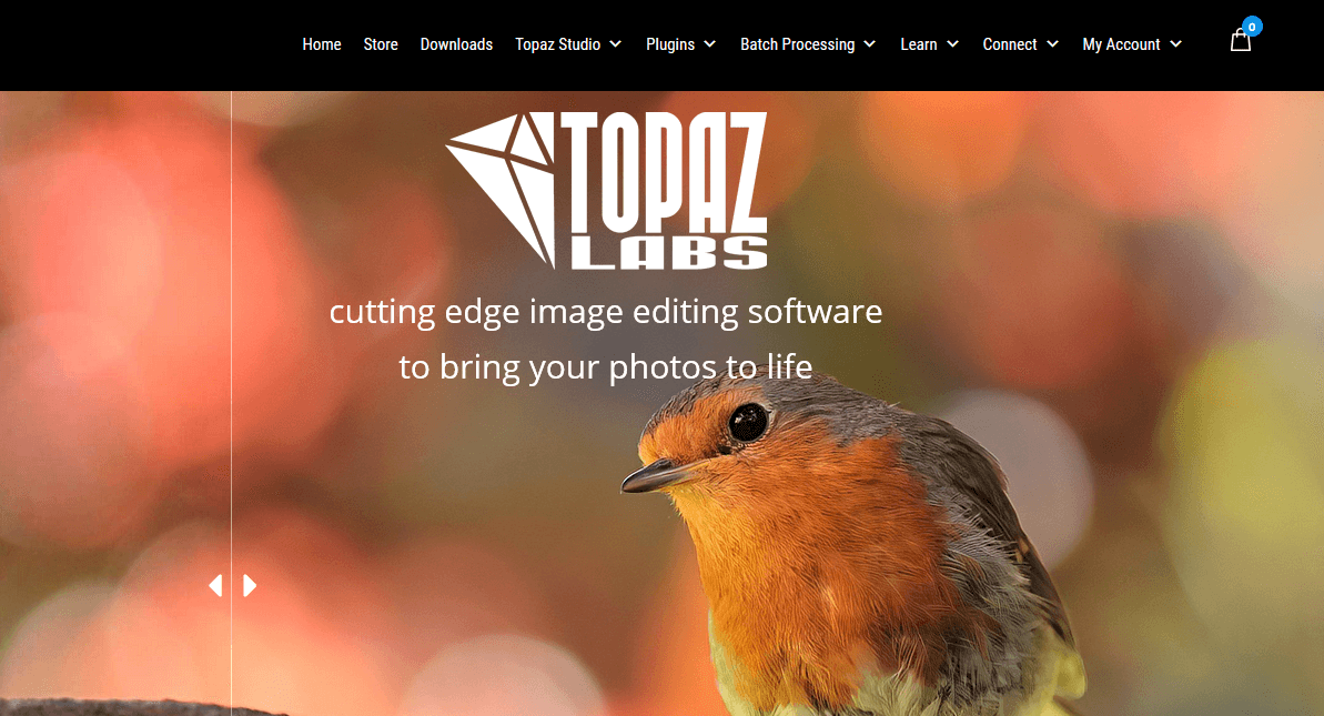 Topaz Studio miglior software fotografico per fujifilm