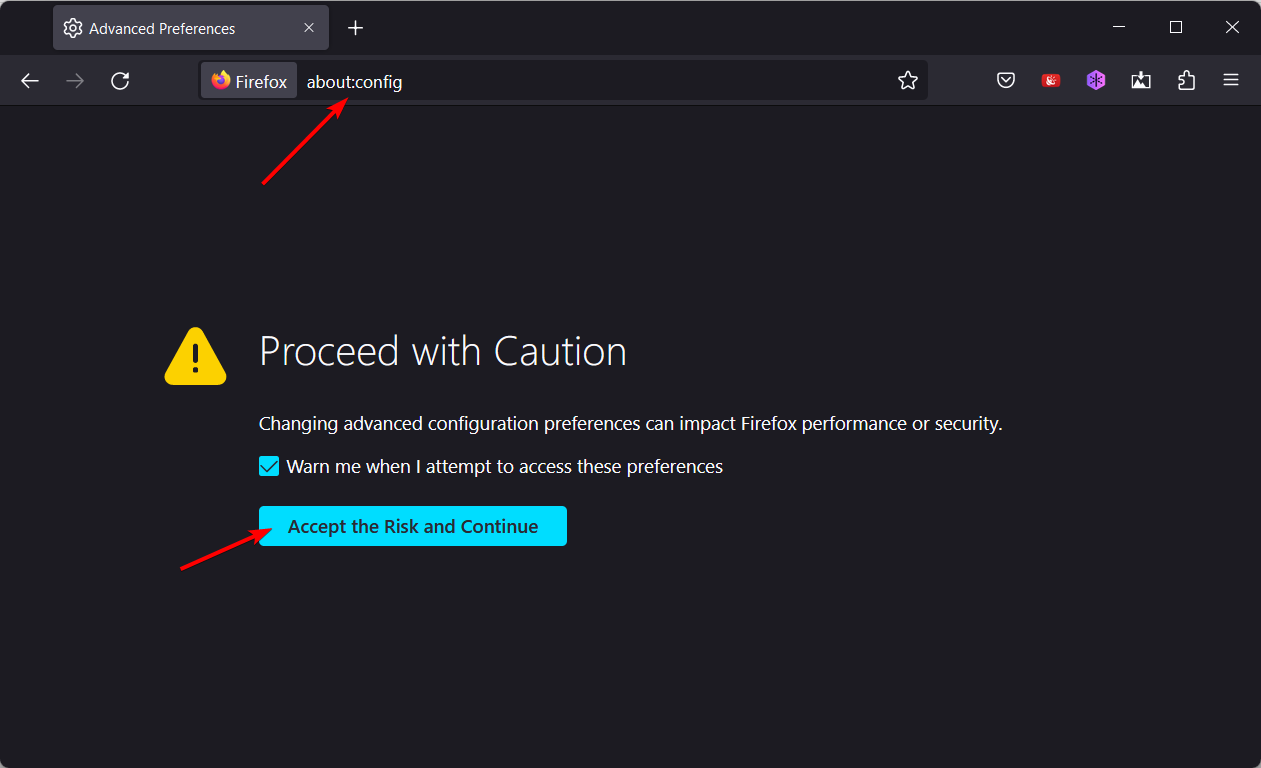 accept-risk meilleur navigateur web pour hikvision