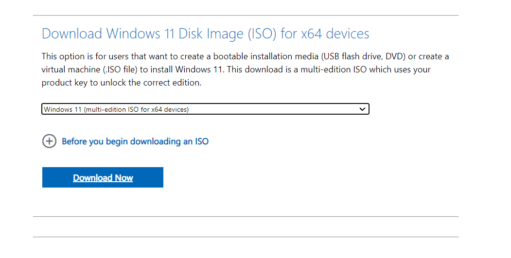 windows 11